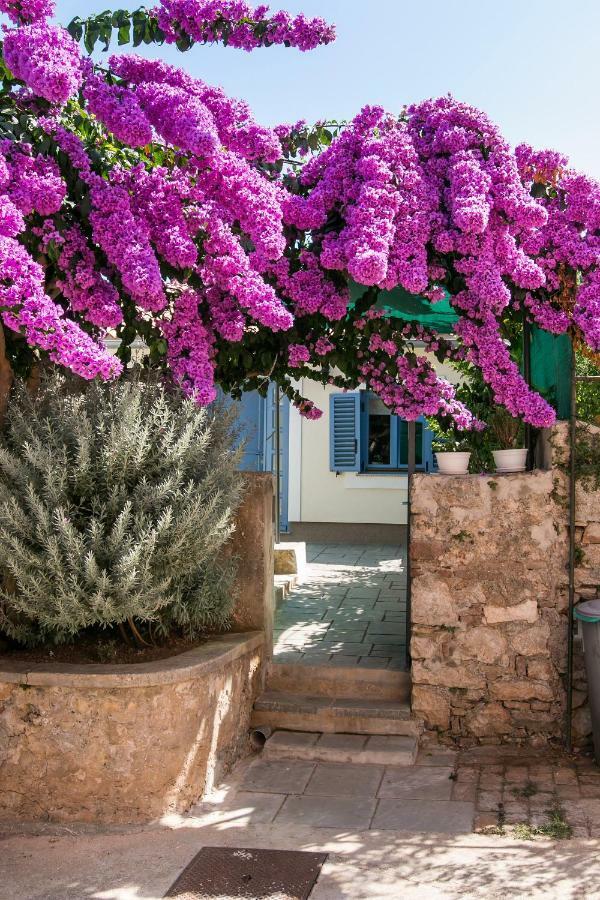 Apartments Relax Veli Lošinj Εξωτερικό φωτογραφία